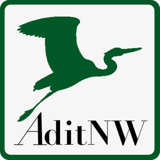 Adit Northwest